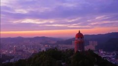 绿肺之殇：观音山毁林背后的多方博弈与治理困局